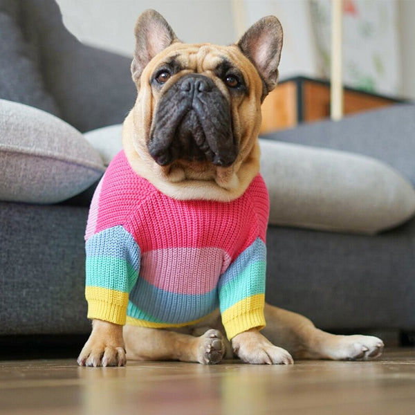 Tricot Pet Color - Pet Croc