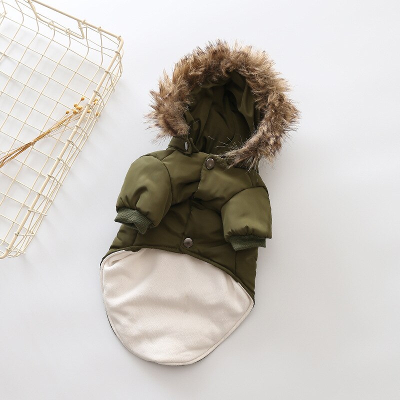 Pet Tigo Jacket 