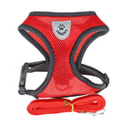 Pet Bunit Collar &amp; Leash