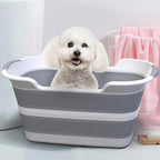 Spa Bathtub for Pet Bathing
