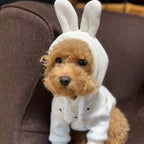 Cute Pet Sweatshirt