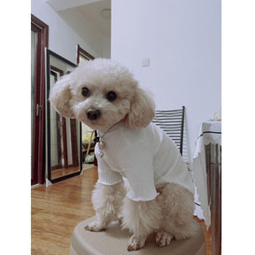 Blusa Pet Mozi