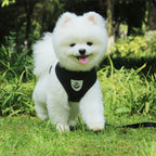 Pet Bunit Collar &amp; Leash