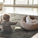 Puff Pet Kennel