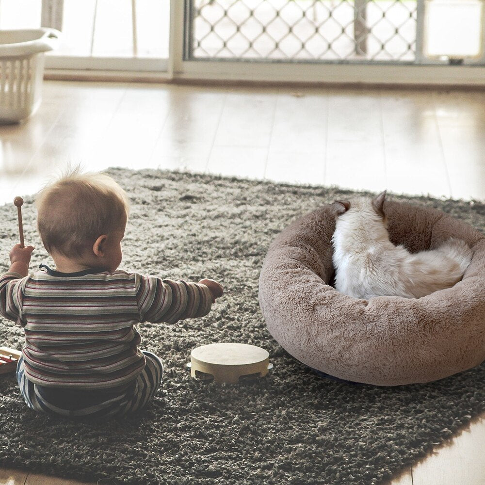 Puff Pet Kennel