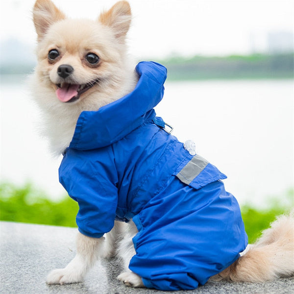 Capa De Chuva Mongui para Cachorro - Pet Croc