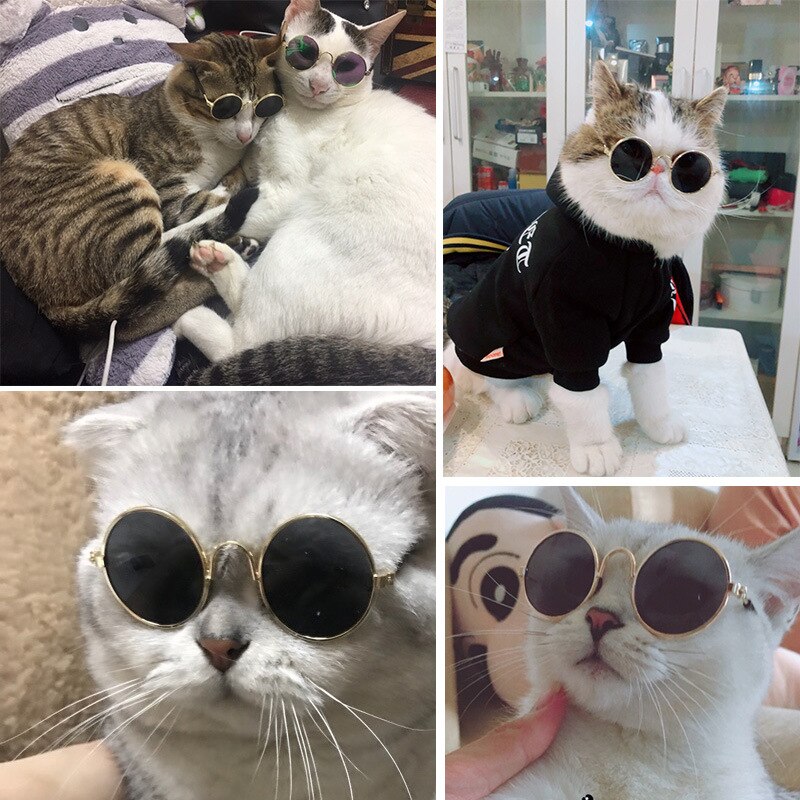 Pet Sunshine Sunglasses