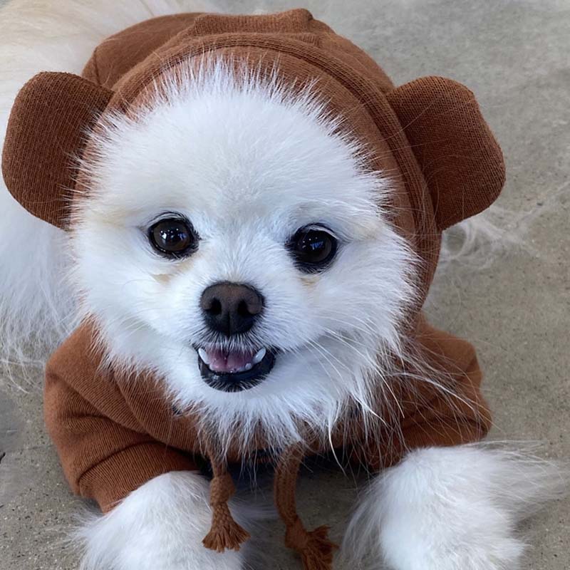 Moletom Pet Fofi