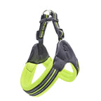 Pet Routice Leather Collar &amp; Leash