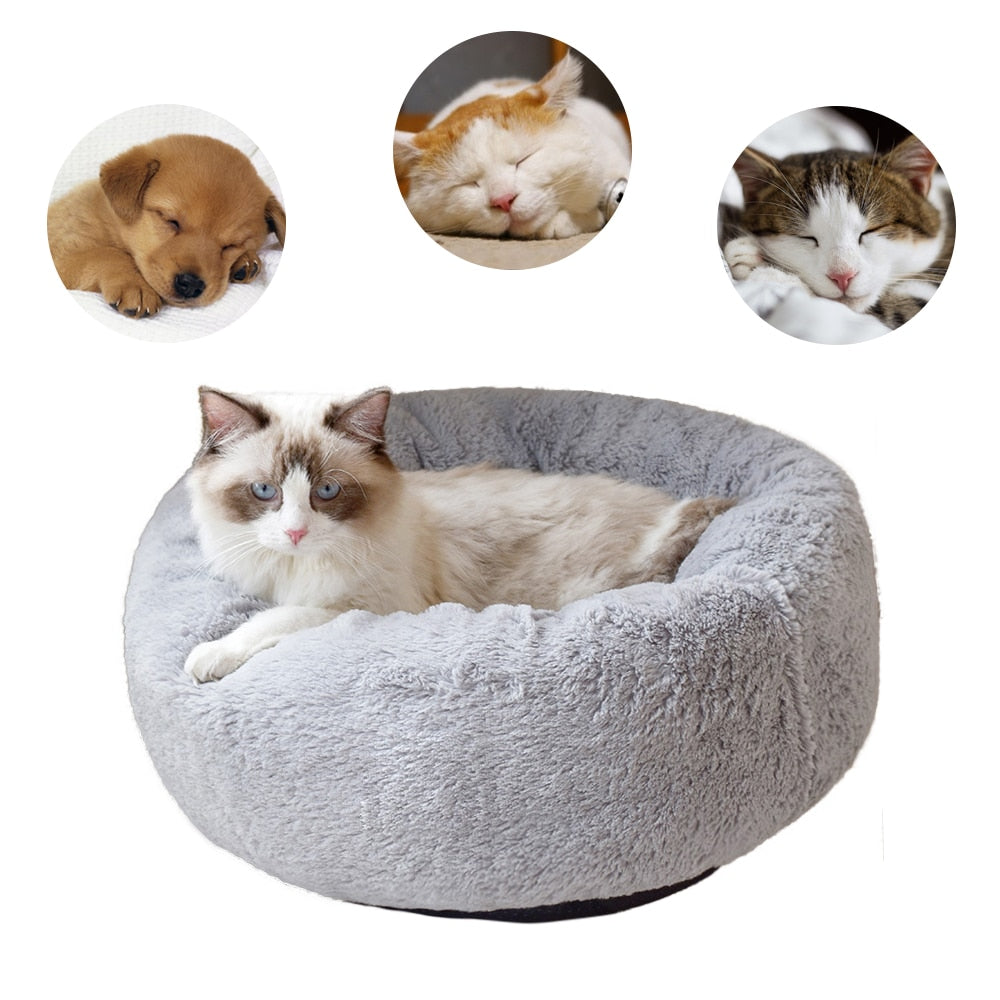 Puff Pet Kennel