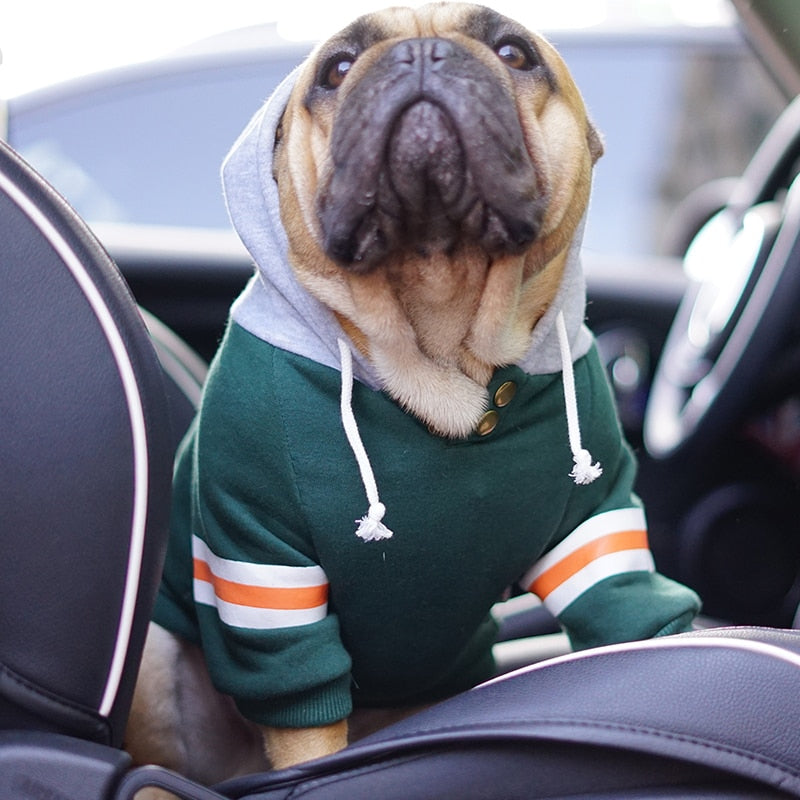 Pet Champs Sweatshirt
