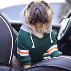 Pet Champs Sweatshirt