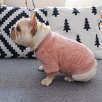 Warm Pet Sweatshirt