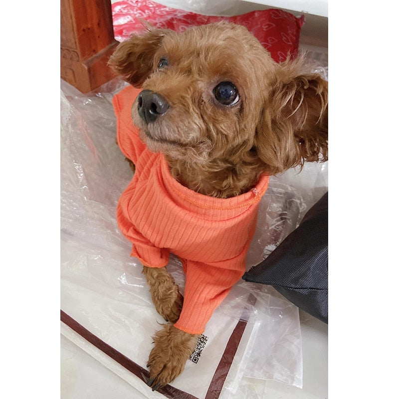 Blusa Pet Mozi