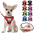 Pet Bunit Collar &amp; Leash