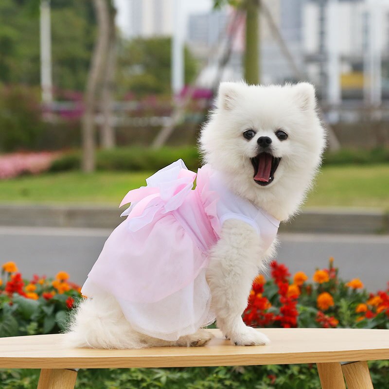 Pet Wedding Dress