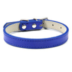 Coleira Basic Mely