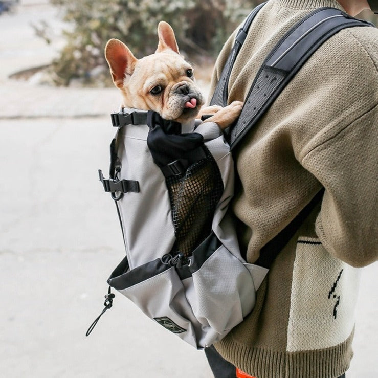 Pet Hols Transport Backpack