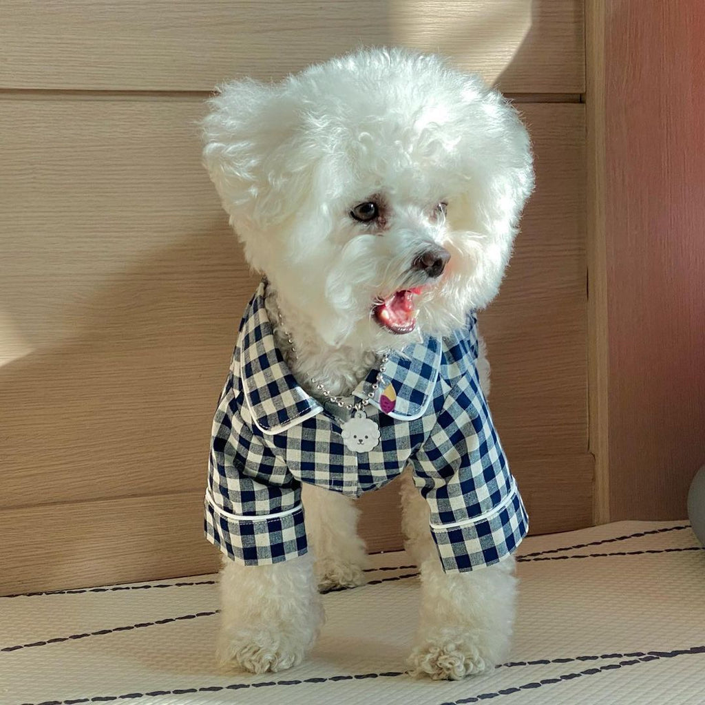 Pet Brie Checkered Pajamas
