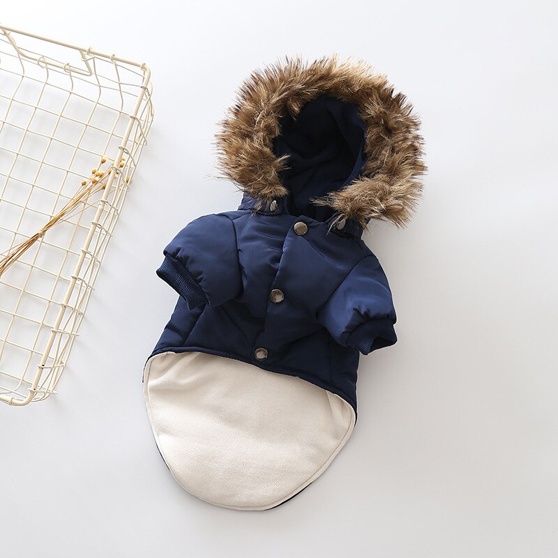 Pet Tigo Jacket 