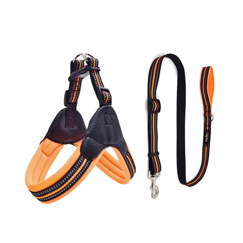 Pet Routice Leather Collar &amp; Leash