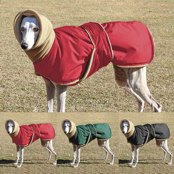 Roupa Grande À Prova D'água Loubet para Cachorro e Gato - Pet Croc