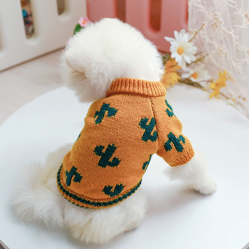 Tricot Pet Cactus