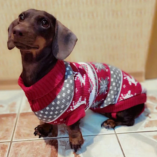 Blusa Gola Luke para Cachorro - Pet Croc