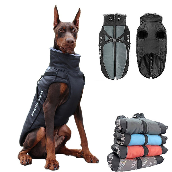 Colete Pet Matew - Pet Croc