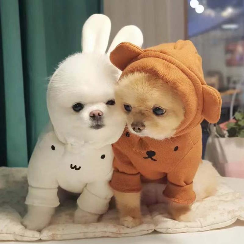 Moletom Pet Fofi