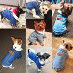 Luxury Pet Jacket
