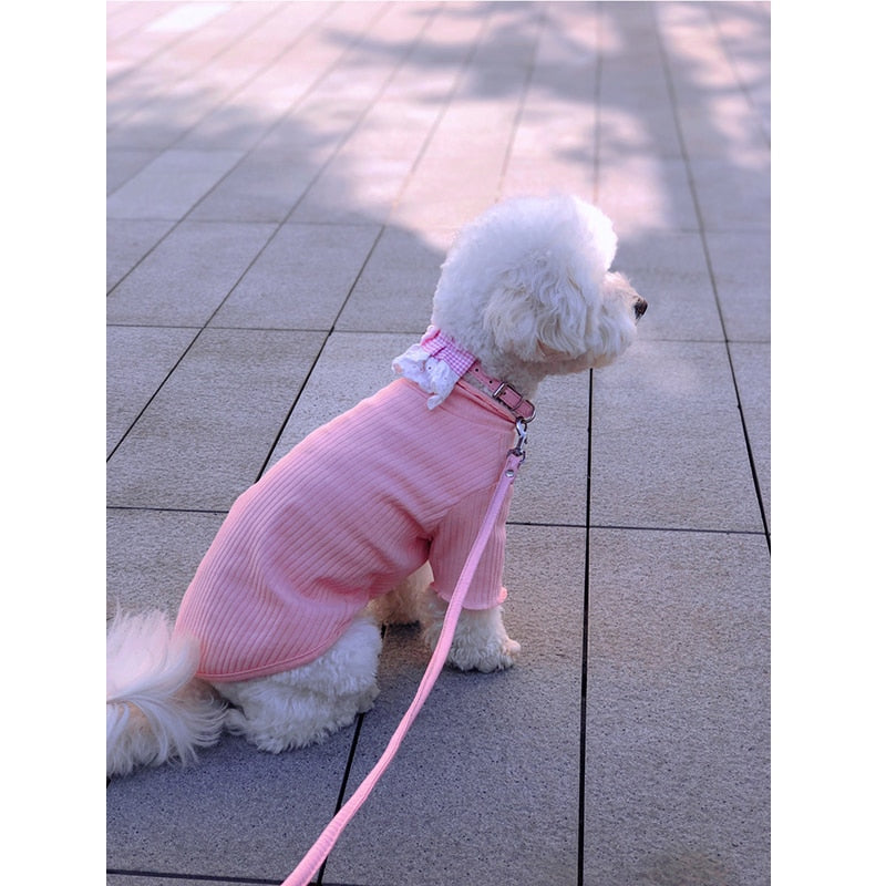 Blusa Pet Mozi