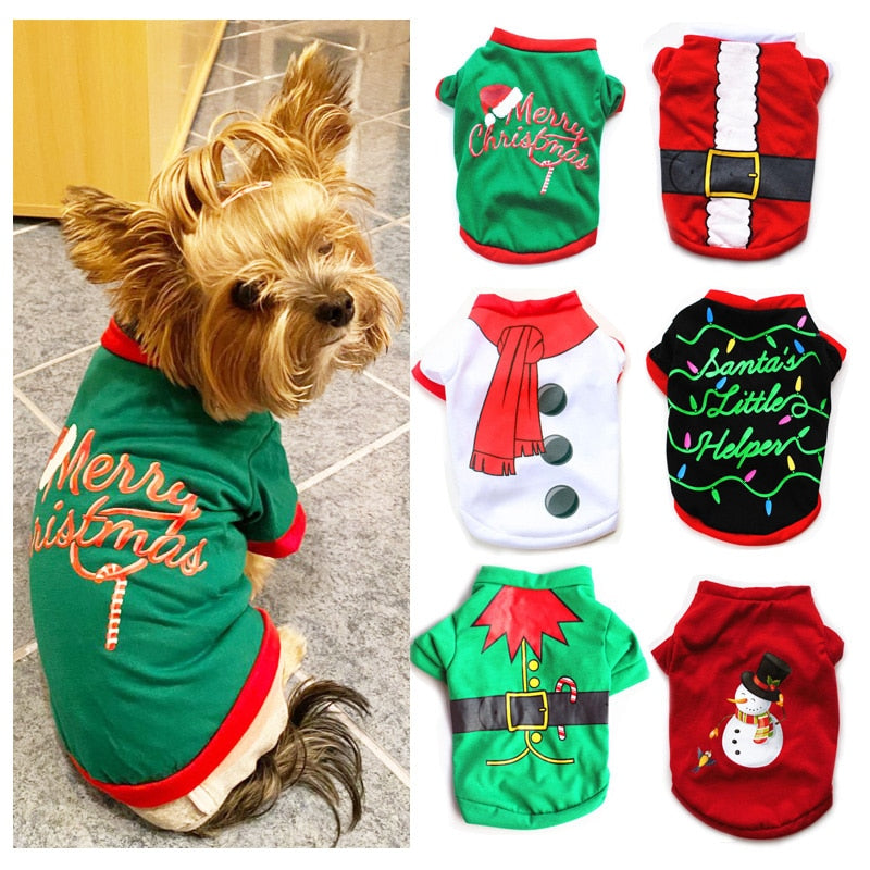 Pet Noel Blouse