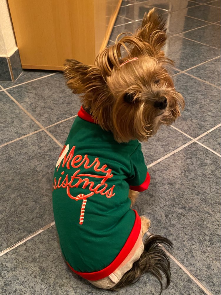 Pet Noel Blouse