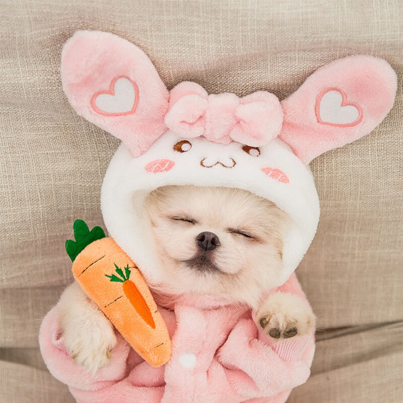 Pet Bunny Onesie 