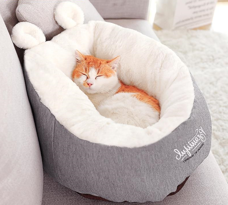Pet Comfort Bed 