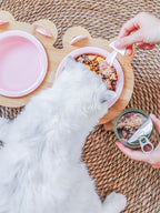 Ceramic Bowl with Kitten Design
