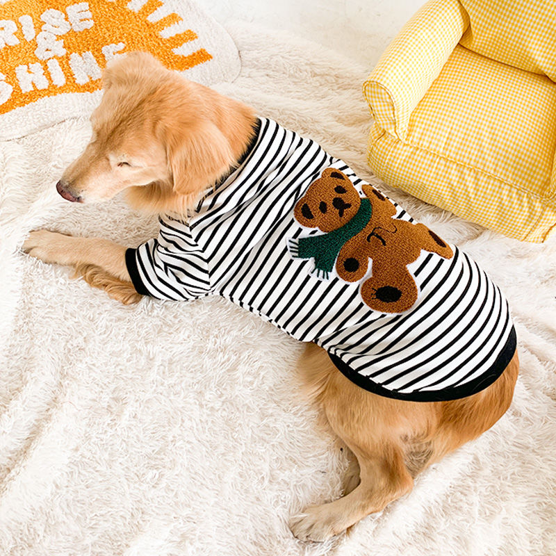Apolo Pet Sweatshirt