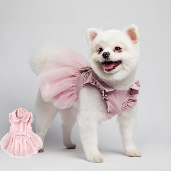 Vestido Pet Izah - Pet Croc