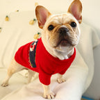Knitted Pet Santa Claus 