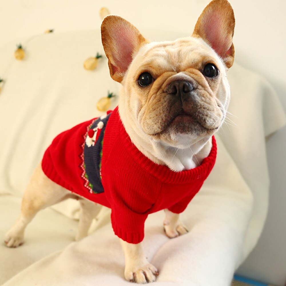 Knitted Pet Santa Claus 