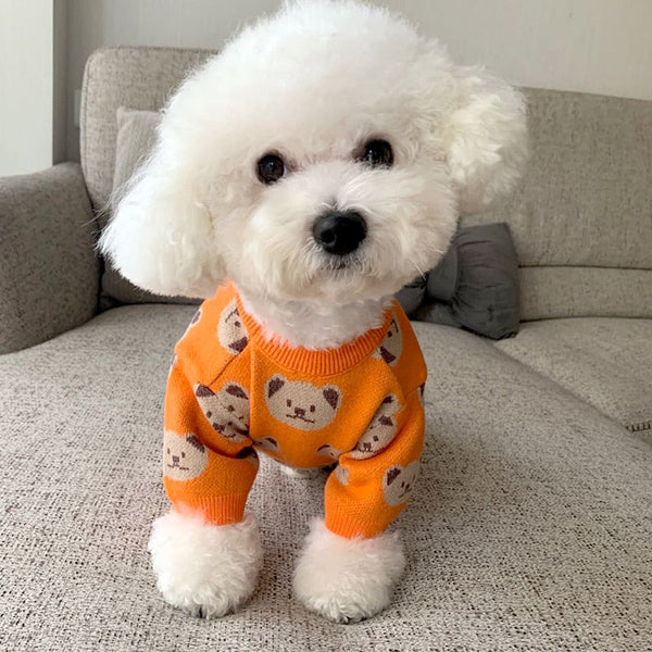 Suéter Teddy Orange para Cachorro - Pet Croc