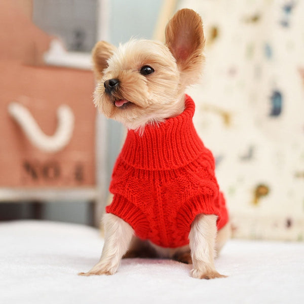 Blusa Gola Mimo para Cachorro - Pet Croc
