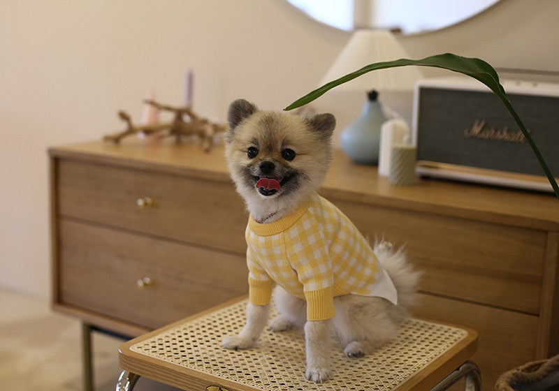Tricot Pet Beju