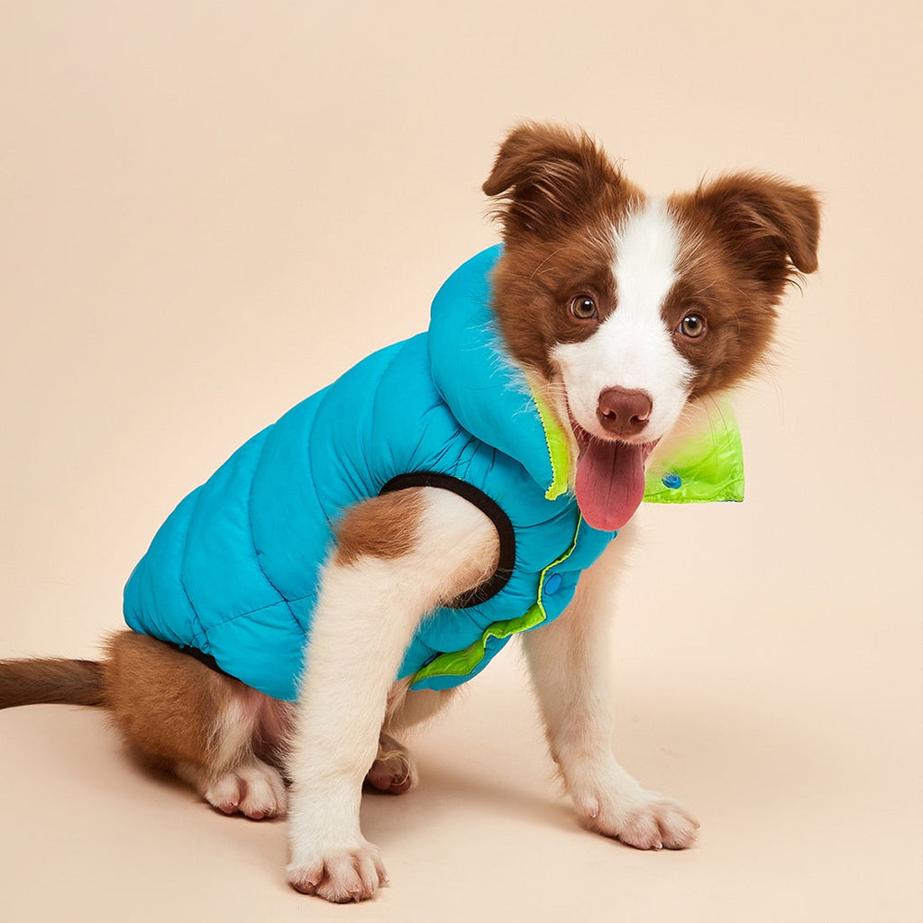 Colorful Double-Sided Pet Vest
