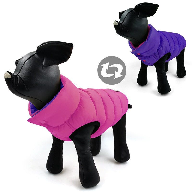 Colorful Double-Sided Pet Vest