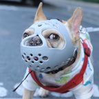 Breathable Anti-bite Muzzle