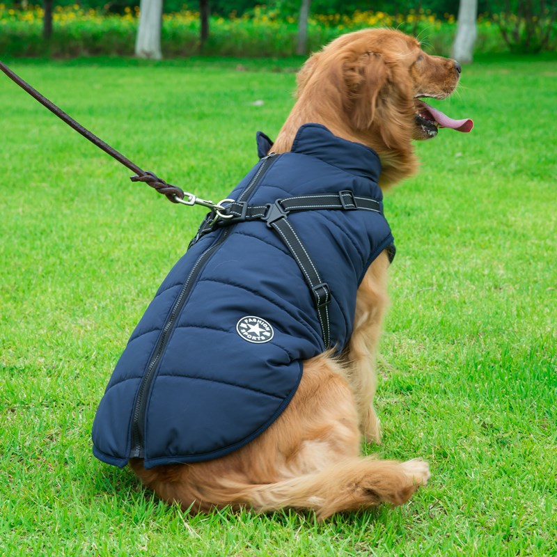 VIP Waterproof Vest