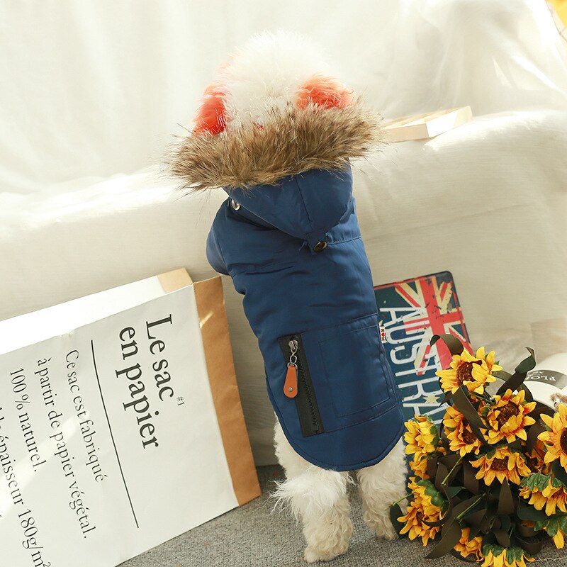 Pet Tigo Jacket 