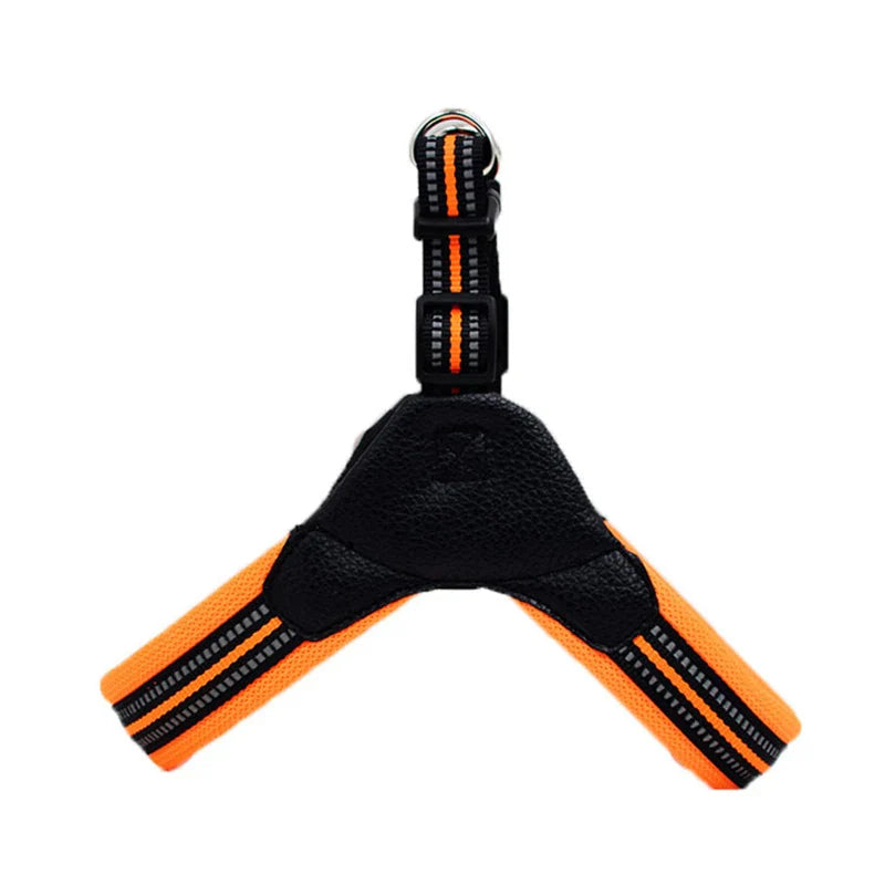 Pet Routice Leather Collar &amp; Leash